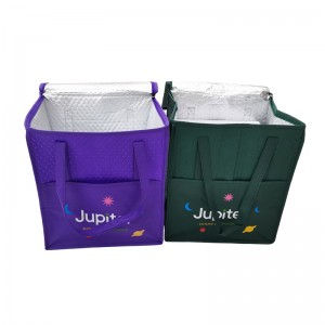 Fabric Cooler Bag For Hot Cold Food Packaging Lunch Bags
