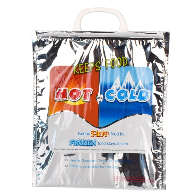 China Hot Cold Thermal Bag With Plastic Handle For Grocery Bbq ...