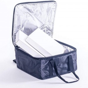 Buy DROZIP Insulated Bags to Carry Food Fabric Lunch Boxes Thermal to  Keep Cold and Heat Waterproof for Women and Children for Schools  Offices Travel and Work Multi Online at Low Prices
