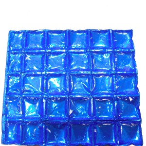 MULTI-GRID ICE BAG BIOL OGICAL for shipping