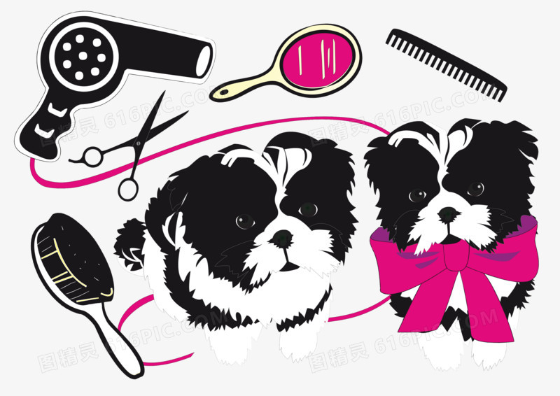 What are the commonly used pet grooming tools?