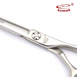 Cheap PriceList for China Hair Grooming Scissors for Pets