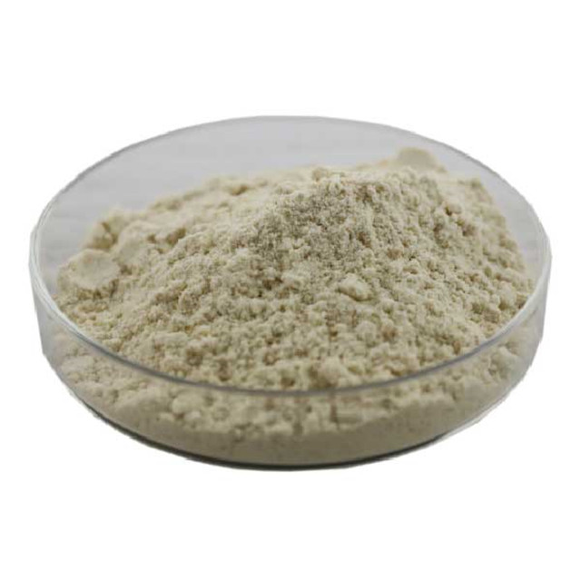 Yeast Extract β-D glucan   β -D glucan 80% can Lipid-lowering reducing weight Featured Image