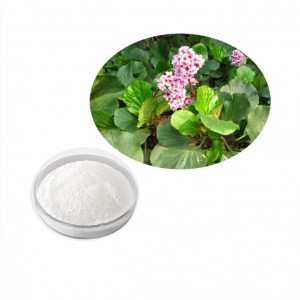 China Wholesale Huperzine-A Manufacturers Suppliers - Bergenin   Extract from Saxifraga stolonifera,Bergenin  98% Test by HPLC – Thriving