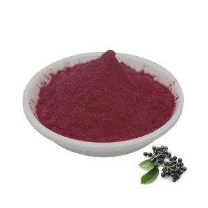 ከፍተኛ ደረጃ ቻይና 25% Anthocyanins Black Elderberry Extract powder