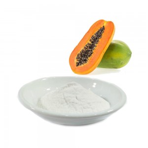 Papain   Extract from Papaya Fruit