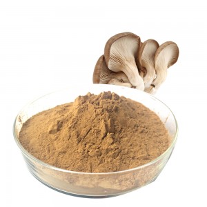 Factory making China ISO Certified 100% Natural Oyster Mushroom Extract for Enhance Immune Function of The Body
