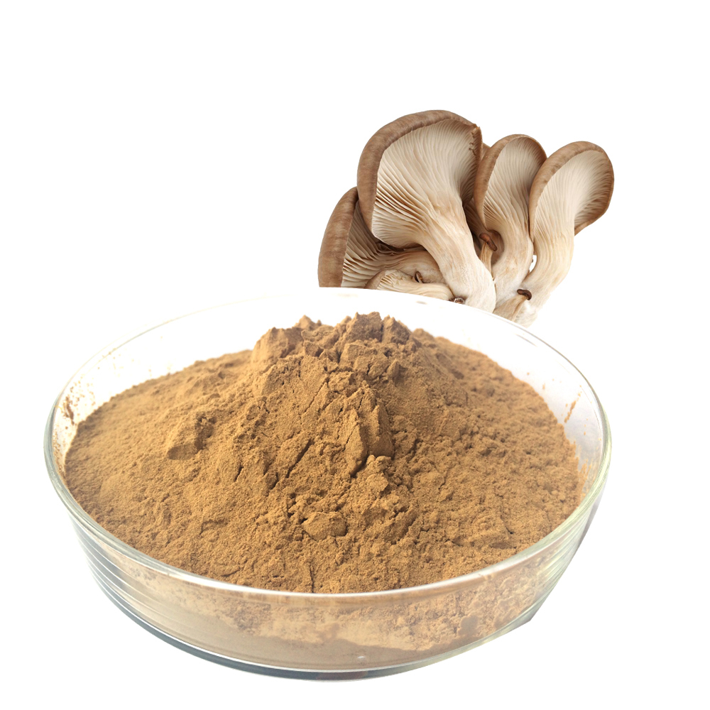China Wholesale Hop Aroma Extract Factories Pricelist - Oyster Mushroom Extract     Immune adjustment: strengthen immune system, enhance physical defense. – Thriving