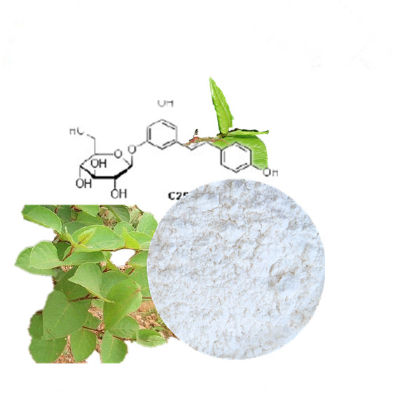 China Wholesale Star Anise Shikimic Acid Powder Factory Quotes - Polydatin  Extract from Knotweed Root,98% Polydatin Test by HPLC – Thriving