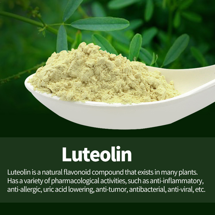 Luteolin   Luteolin 98% Test by HPLC Featured Image