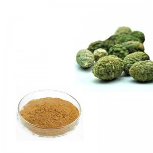 High definition China Caper Euphorbia Seed Extract 10: 1 20: 1
