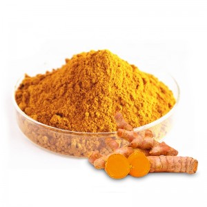 Excellent quality China Best Price Curcumin 95% Turmeric Extract Powder Curcumin