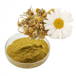 Chamomile Extract   Chamomile Extract apigenin being widely studied for its anti-cancer properties