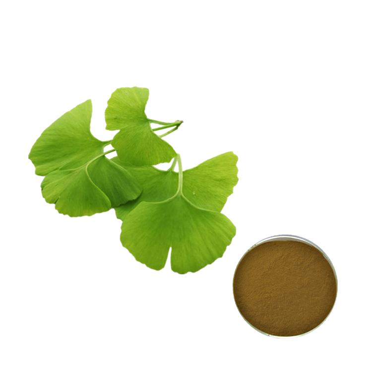 Ginkgo Biloba Extract  Ginkgo Biloba Extract  Dilating blood vessels,vascular endothelial protection organizations; Featured Image