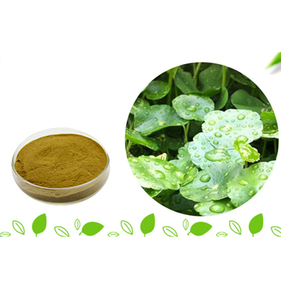China Wholesale Caper Extract Factories Pricelist - Gotu Kola Extract  Gotu Kola Extract can Whitening skin – Thriving