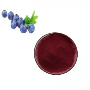China Wholesale Grape Seed Extract Weight Loss Factory Quotes - Bilberry  Extract – Thriving