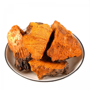 Chaga Extract  Chaga Extract is a powerful anti-oxidant and useful in fighting tumors.