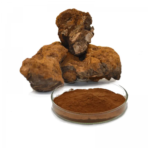 Chaga Extract  Chaga Extract is a powerful anti-oxidant and useful in fighting tumors.