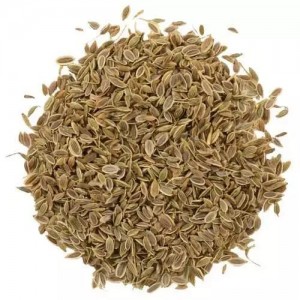 Dill Seed Extract  Dill Seed Extract 10:1 Test by TLC