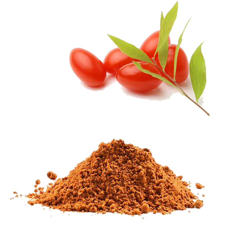 China Wholesale Ceylon Cinnamon Extract Factories Pricelist - Goji Berry Extract  Goji Berry Extract is used in beverage, liquor and foods to enhance human immunity and anti-aging – Thriving