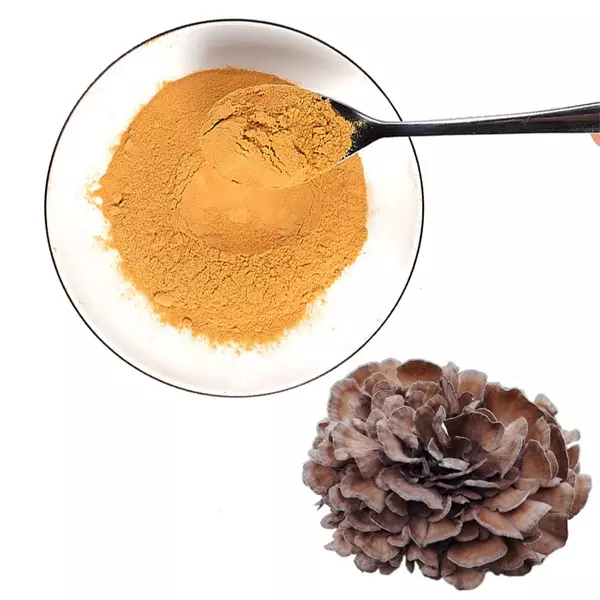 China Wholesale Fructus Schisandra Chinensis Extract Factories Pricelist - Maitake Extract D-Fraction A new type of anticancer immunoactivator – Thriving