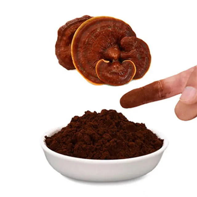 The Function of Reishi Wall-Breaking Spores Powder