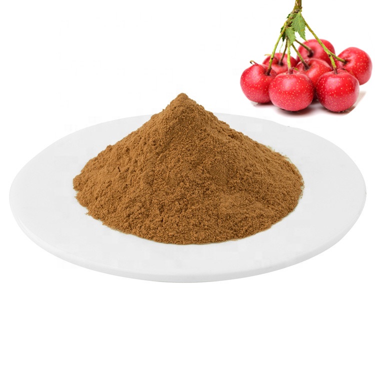 Hawthorn Berry Extract   Hawthorn Berry Extract Powder ,Brown Yellow powder Featured Image