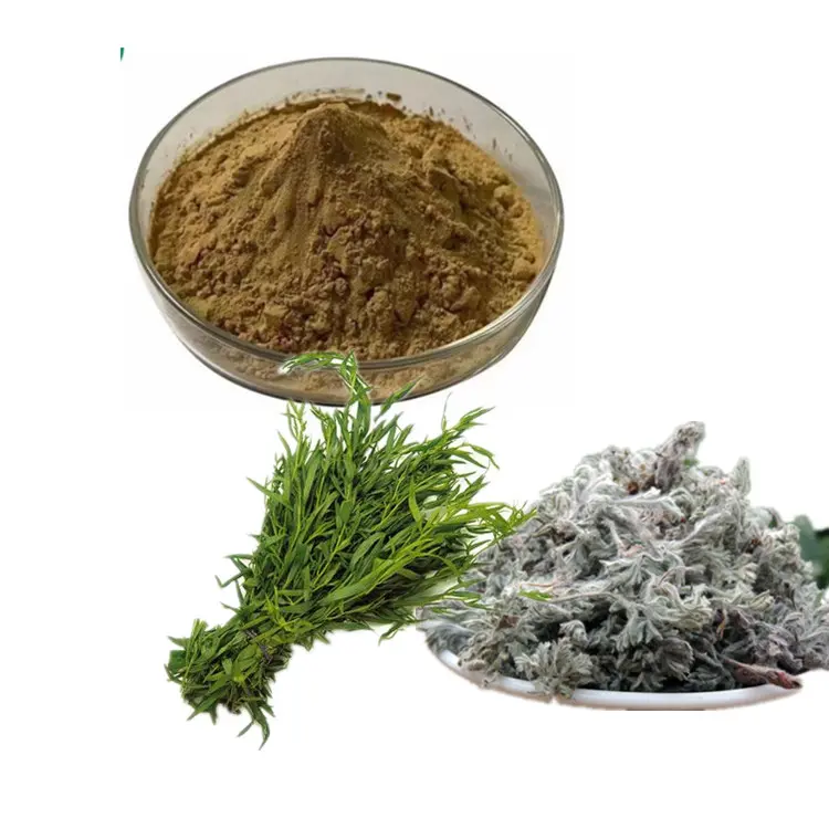 Artemisia Capillaris Extract Introduction