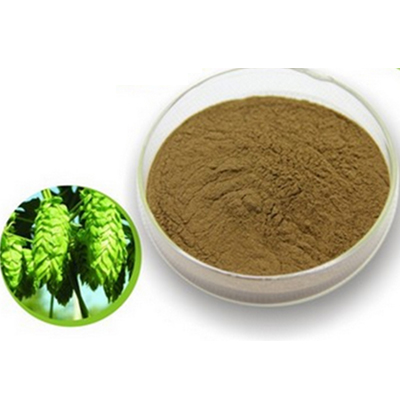 China Wholesale Bacopa Leaf Extract Manufacturers Suppliers - Hops Extract   Hops Extract can anti inflammatory. – Thriving