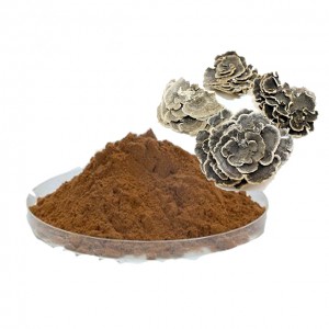 Turkey Tail Extract   Turkey Tail Extract has the function of improving immunity, it is a good immune enhance.