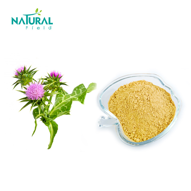 China Wholesale Dandelion Root Extract Factories Pricelist - Milk Thistle Extract   Milk Thistle Extract 80% Silymarin Test by UV – Thriving
