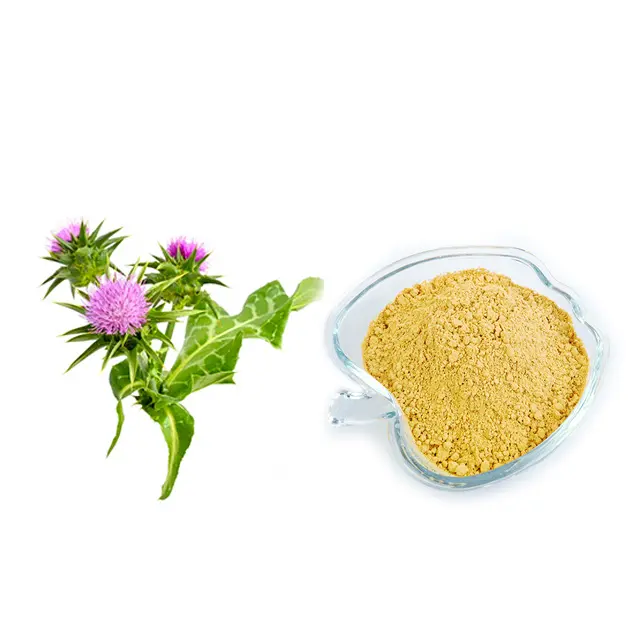 Natural Liver Protection Ingredients- Milk Thistle Extract