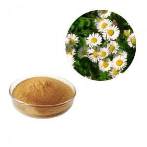 China Wholesale Aronia Melanocarpa Extract Factory Quotes - Feverfew Extract – Thriving