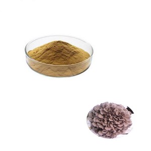 China New Product China 100% Organic Maitake Mushroom Powder Grifola Frondosa Maitake Extract Powder for Food Personal Care Healthcare