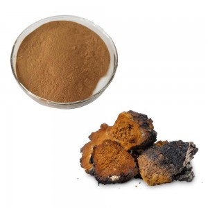 China Wholesale Apigenin Supplement Manufacturers Suppliers - Chaga Extract – Thriving