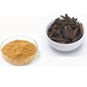 High reputation China Herbal Dry Extract of Euricome Root Stainless Steel Extractor Concentrator Machine for Powder