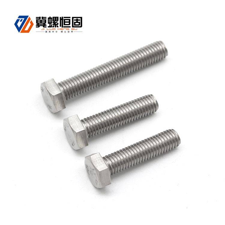 Chinese Professional Hdg Bolt - SS304 Stainless Steel Bolts – SCM
