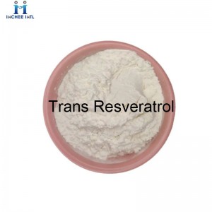 High quality Trans Resveratrol for sell
