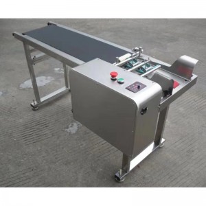 Hot Sale Packaging Machinery – INCODE Box Cardboard Automatic Feeding Conveyor Belt – Incode