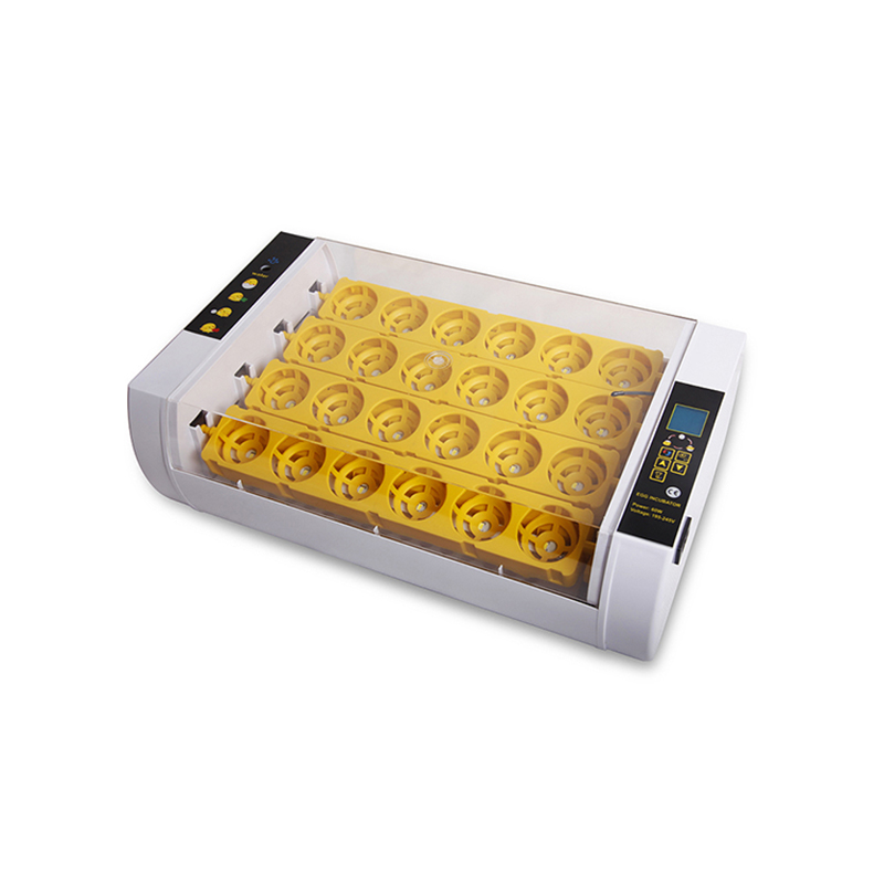 Good Quality Digital Mini Eggs Incubator - Egg Incubator HHD EW-24 for home use hatcher – Edward