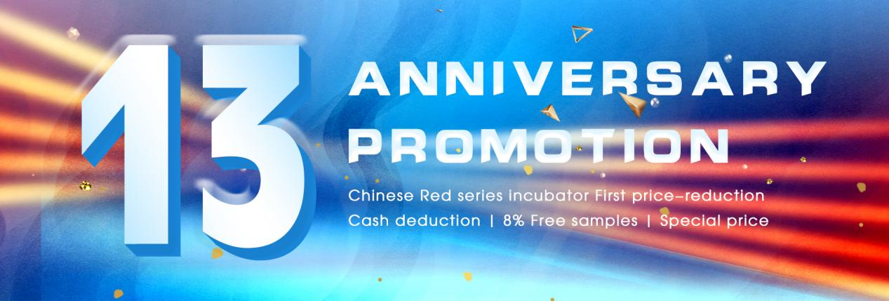 13th Anniversary Promotion in July