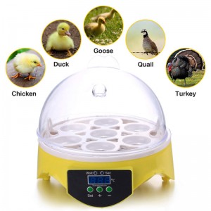 Incubator mini 7 eggs hatching chicken eggs machine home used