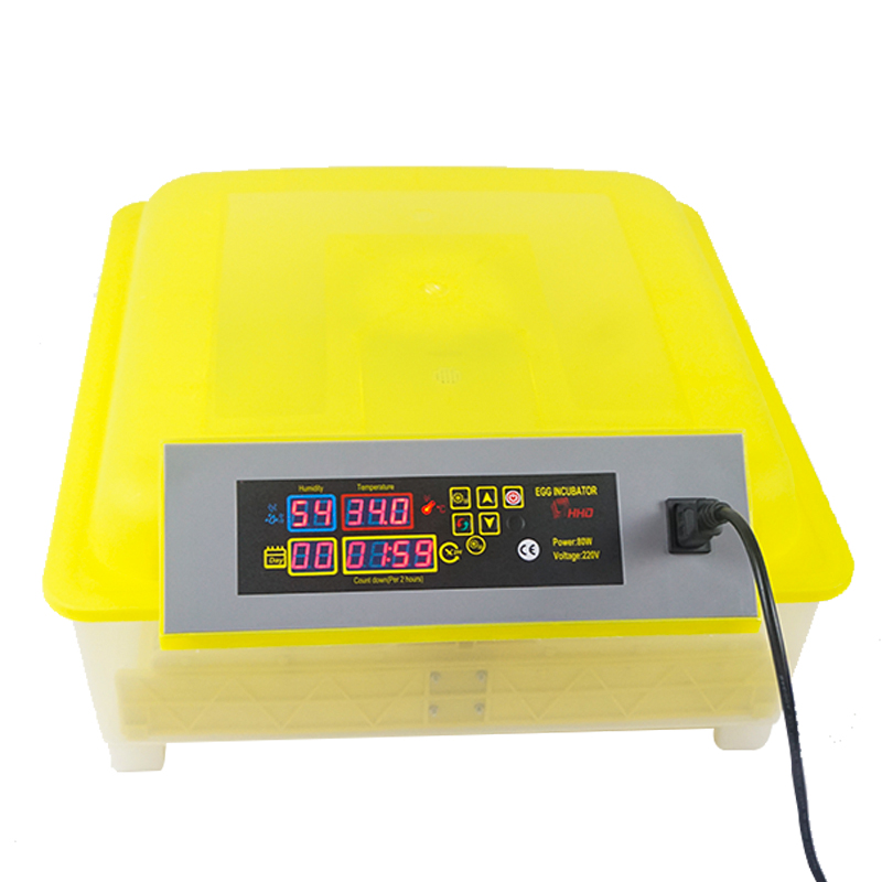 Automatic Fully With Battery Dc 12V Incubator