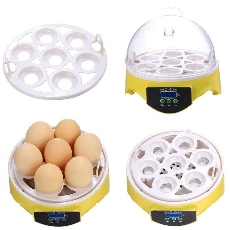 Buy Wholesale China Hot Sale Residential Chicken Egg Steamer 7