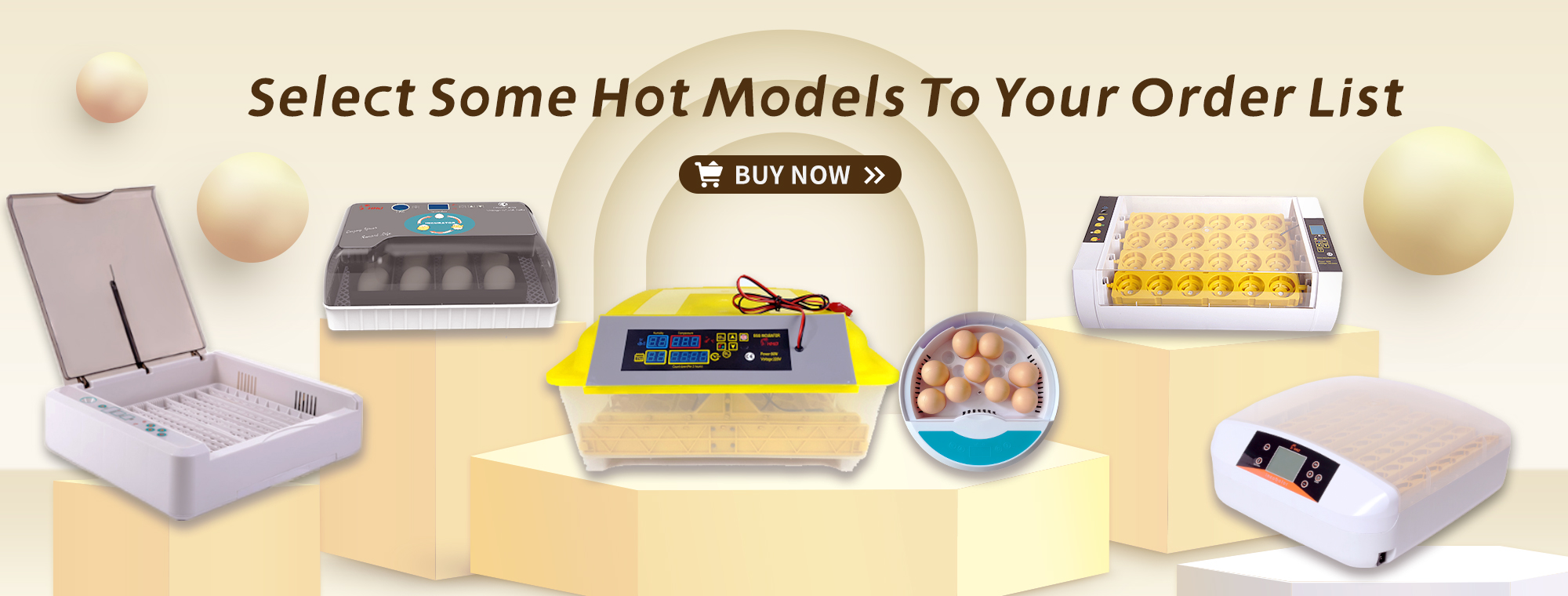 Where is the best place to put an egg incubator?