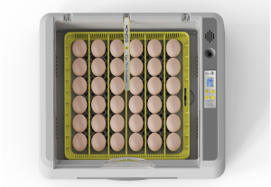 Automatic 36 Eggs Poultry Incubation Machine