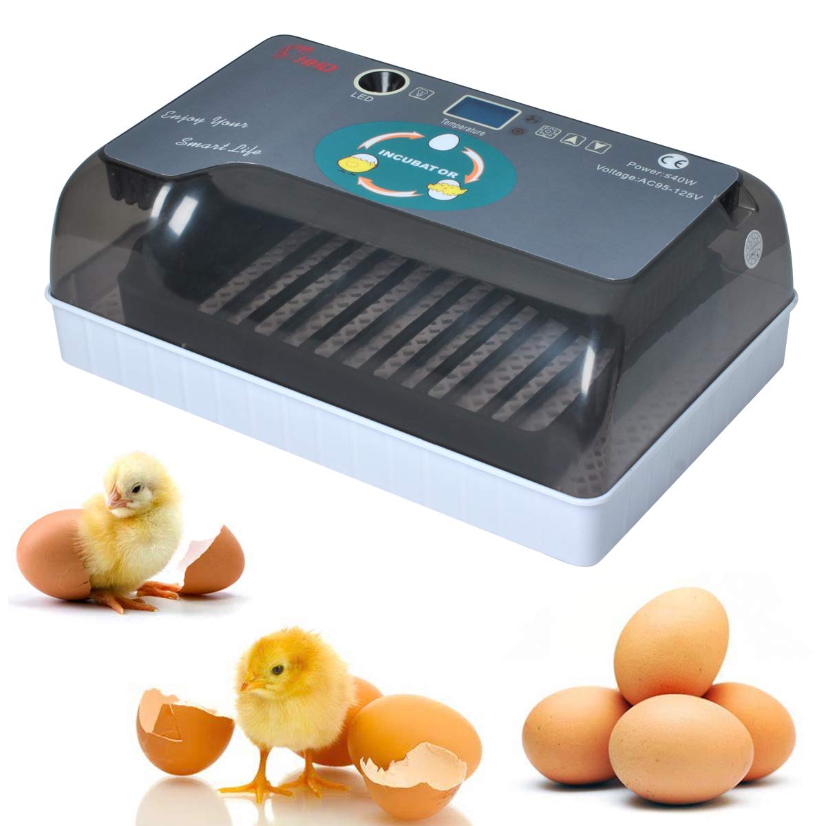 Smart Egg Incubator Clear View, Automatic Egg Turner, Temperature Humidity Control, Egg Candler, Poultry Egg Incubator for Hatching 12-15 Chicken Eggs, 35 Quail Eggs, 9 Duck Eggs, Turkey Goose Birds Featured Image