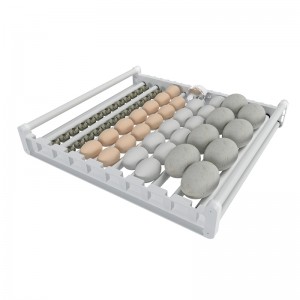 Roller egg tray for 46 chicken eggs