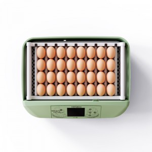 Spare Parts For 32 Eggs Capacity Sale Free Shipping In Zambia