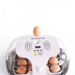 Quail Duck Chicken Manufacturers Automatic Egg Incubator